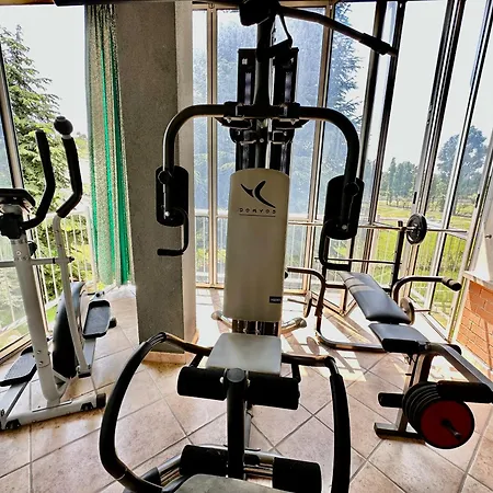 Finestra Sulle Alpi E Golf Fiano (Piedmont)